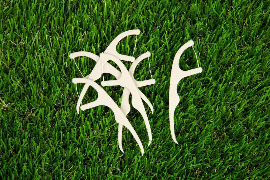 Eco Friendly Floss Picks