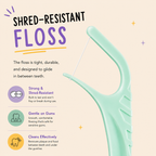 DualClean Braces Floss Picks
